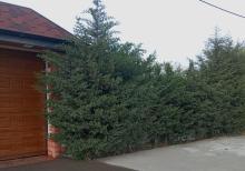 Buzovnada obyekt  satılır