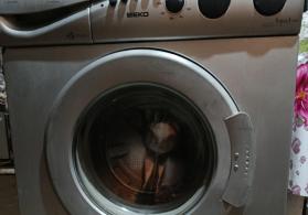 (Ucuz qiymətə paltaryuyan) beko