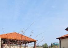 Albalıda bağ evi satılır