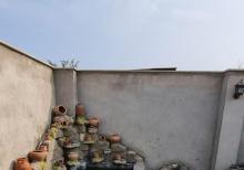 Albalıda bağ evi satılır