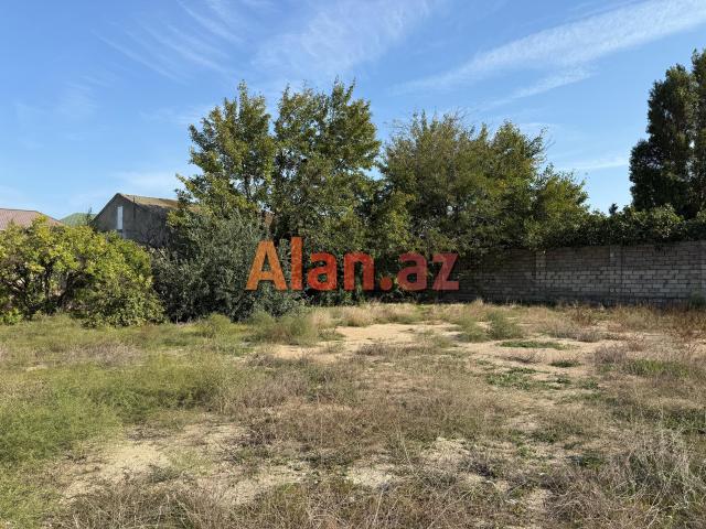 Buzovnada torpaq sahəsi satılır