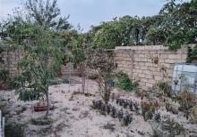 Pirşağıda həyət evi satılır