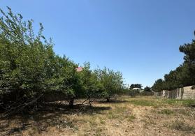 Bilgehde 25 sot torpaq satilir