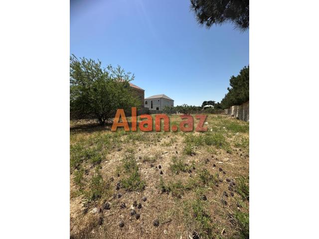 Bilgehde 25 sot torpaq satilir