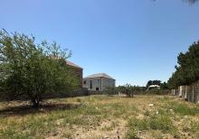 Bilgehde 25 sot torpaq satilir