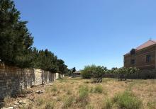 Bilgehde 25 sot torpaq satilir