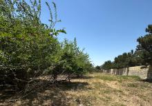 Bilgehde 25 sot torpaq satilir