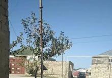 binede obyekt  icare