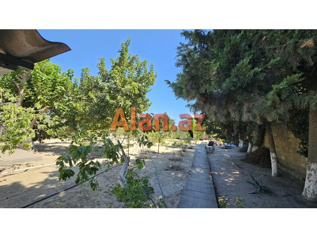 Nardaran qəsəbəsi