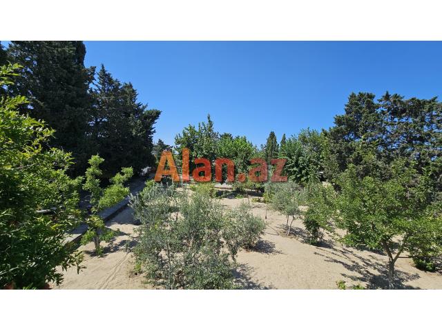 Nardaran qəsəbəsi