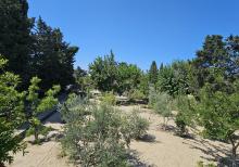 Nardaran qəsəbəsi