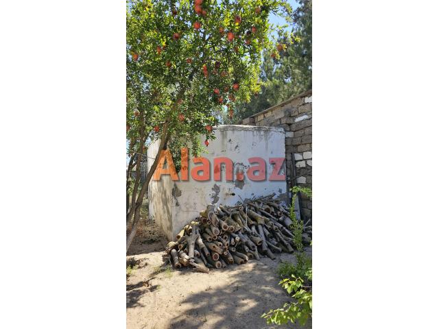 Nardaran qəsəbəsi