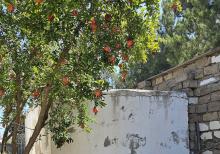 Nardaran qəsəbəsi