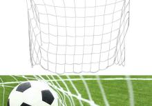 Futbol qapısının toru