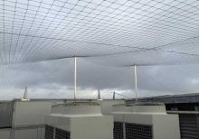 Quşlardan qorunma torları(quş filesi)