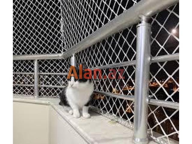 Pişik üçün təhlükəsizlik torları