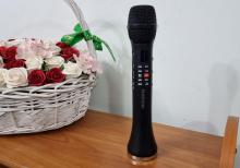 Karaoke mikrofon Lewinner L-699