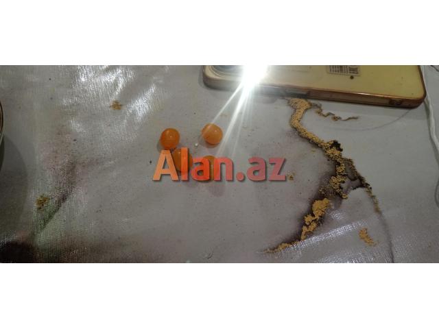 Orjinal KEHRABA Daşı