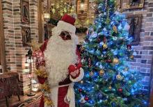 Qarqız Xanım  işçi Tələb olunur!