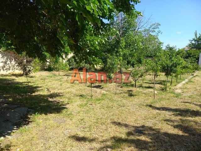 Ceyranbatanda 16 sot torpaq satilir