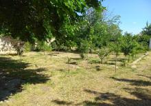 Ceyranbatanda 16 sot torpaq satilir