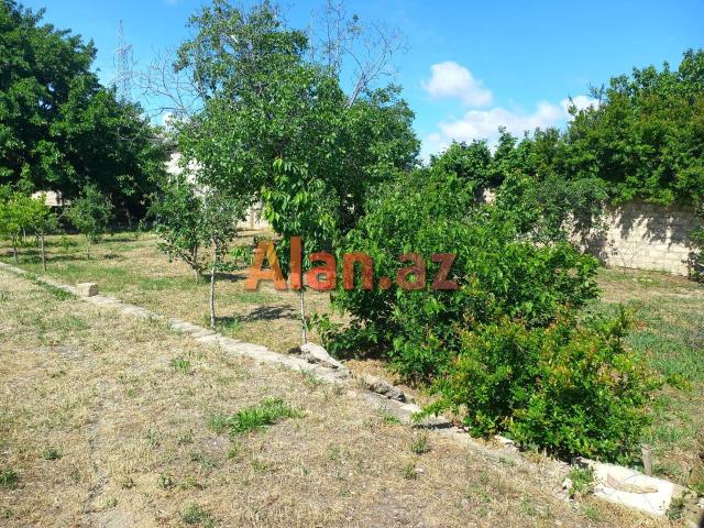 Ceyranbatanda 16 sot torpaq satilir