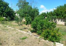 Ceyranbatanda 16 sot torpaq satilir