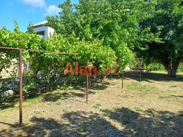 Ceyranbatanda 16 sot torpaq satilir