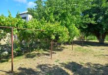 Ceyranbatanda 16 sot torpaq satilir