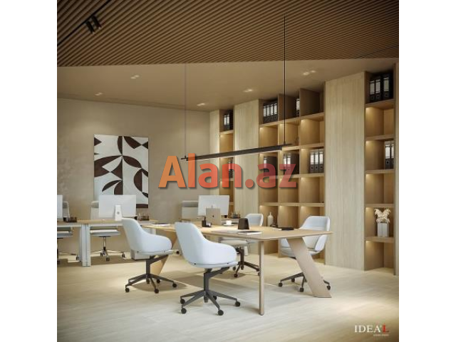 Ofislərin dizaynı və təmiri