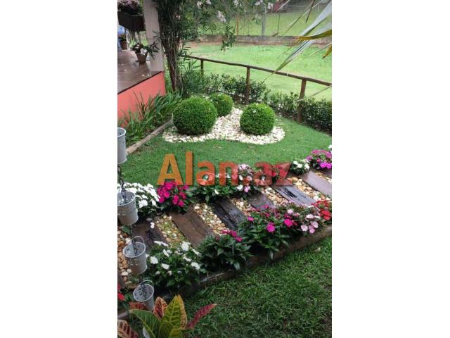 Yaşıllaşdırma və abadlıq xidməti