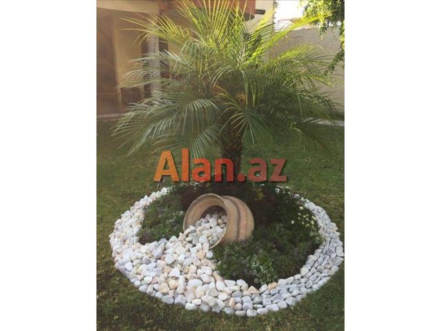 Yaşıllaşdırma və abadlıq xidməti