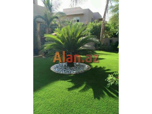 Yaşıllaşdırma və abadlıq xidməti