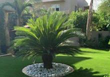 Yaşıllaşdırma və abadlıq xidməti