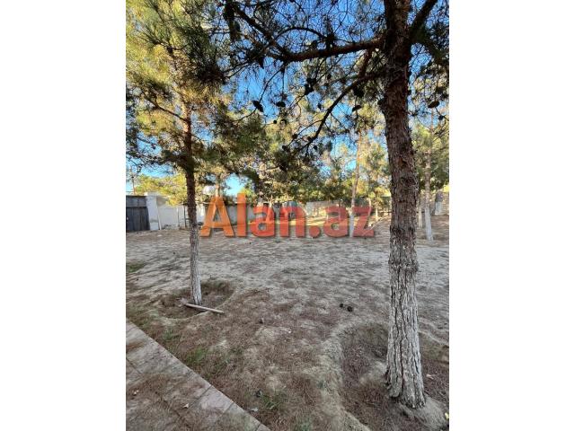 Mərdəkanda 24 sot torpaq sahəsi satılır