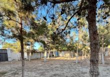 Mərdəkanda 24 sot torpaq sahəsi satılır