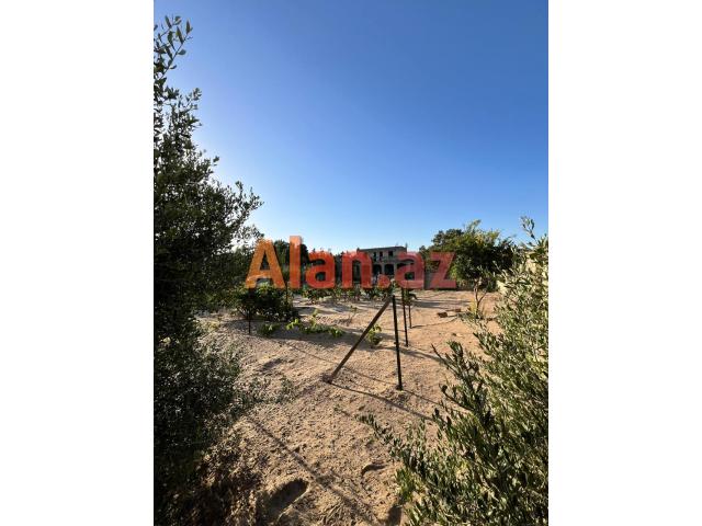 Mərdəkanda 24 sot torpaq sahəsi satılır