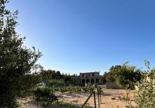 Mərdəkanda 24 sot torpaq sahəsi satılır