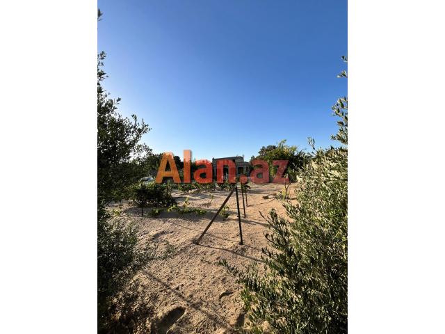 Mərdəkanda 24 sot torpaq sahəsi satılır