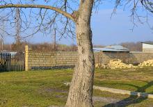 Qəbələdə Təcili ev satılir