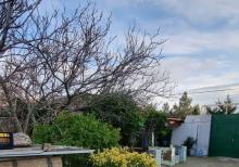 Buzovnada bağ evi satılır