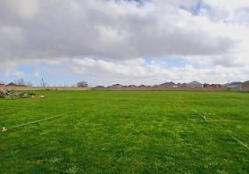 Buzovnada 120 sot torpaq sahəsi satılır.