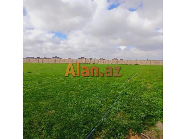 Buzovnada 120 sot torpaq sahəsi satılır.