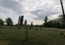 Buzovnada 120 sot torpaq sahəsi satılır.
