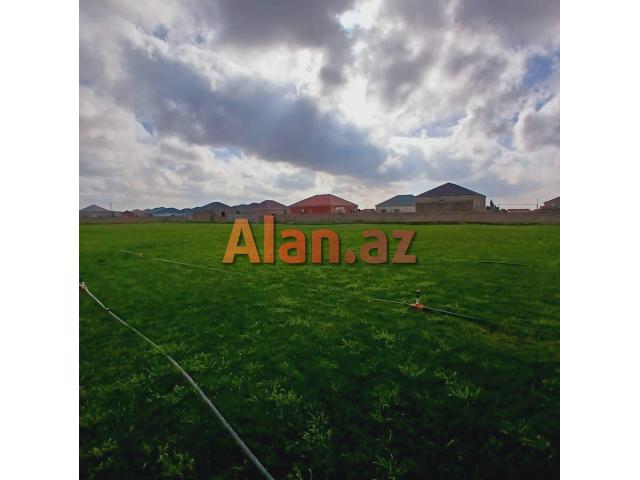 Buzovnada 120 sot torpaq sahəsi satılır.