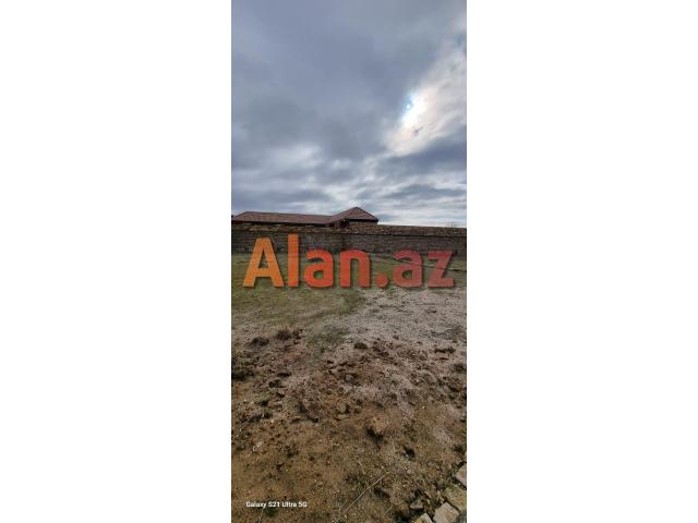 Albalıda torpaq sahəsi satılır
