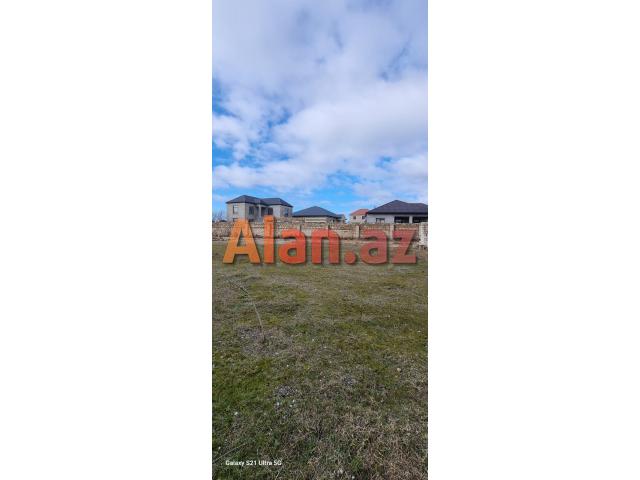 Albalıda torpaq sahəsi satılır