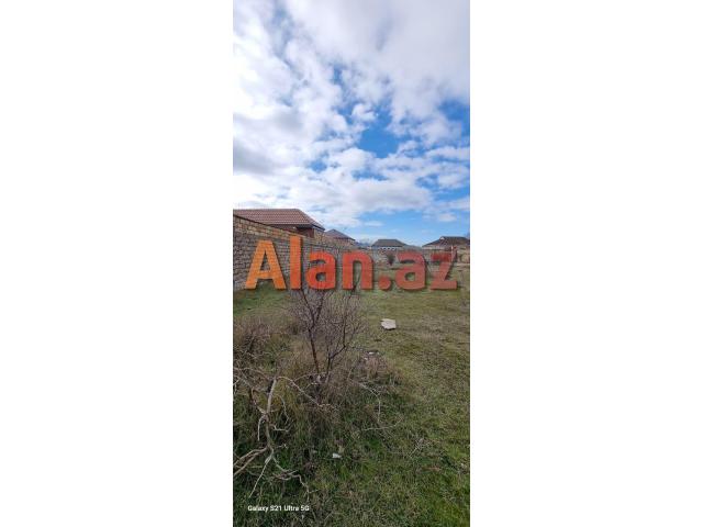 Albalıda torpaq sahəsi satılır