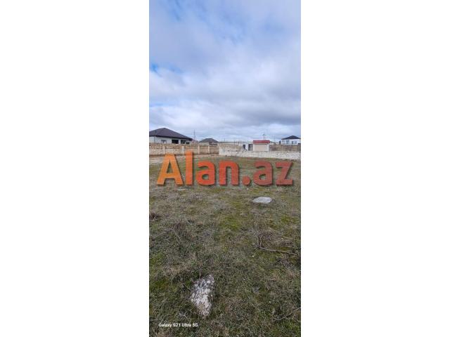 Albalıda torpaq sahəsi satılır
