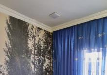 Ləhiş Bağlarında həyət evi satılır